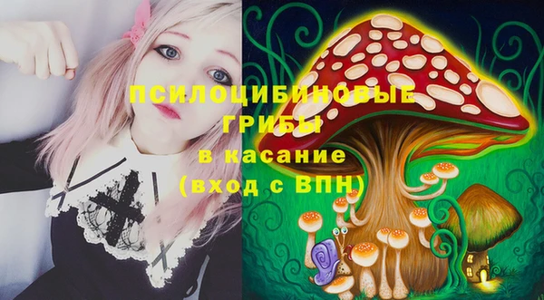 PSILOCYBIN Протвино