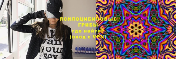 PSILOCYBIN Протвино