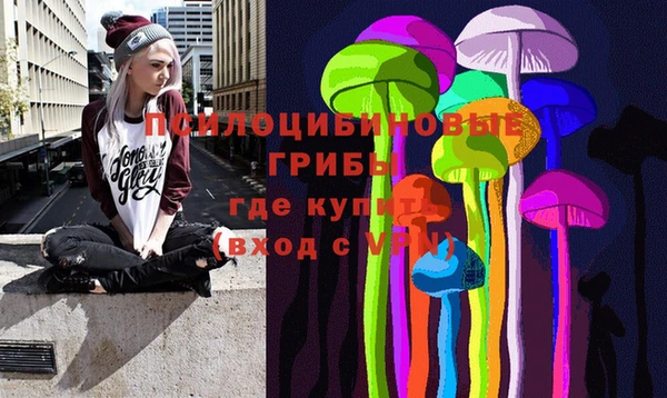 PSILOCYBIN Протвино