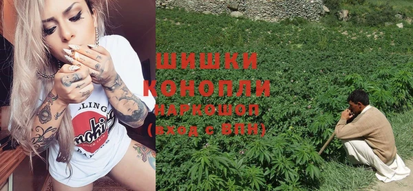 PSILOCYBIN Протвино