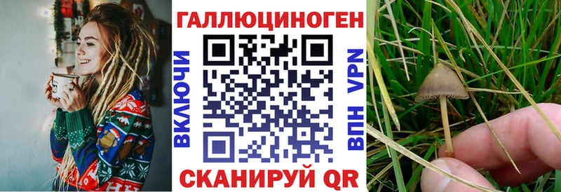 OMG сайт  Реутов  Псилоцибиновые грибы Psilocybine cubensis 