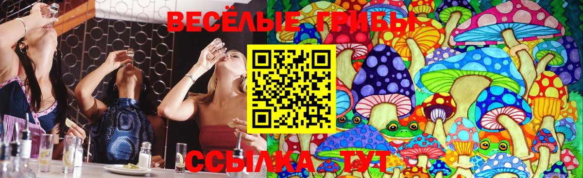 Псилоцибиновые грибы MAGIC MUSHROOMS  Реутов 