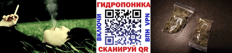 Бошки Шишки тримм  Реутов 